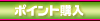 ポイント購入