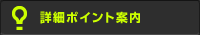 詳細ポイント案内