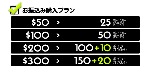 お振込みでの購入プラン