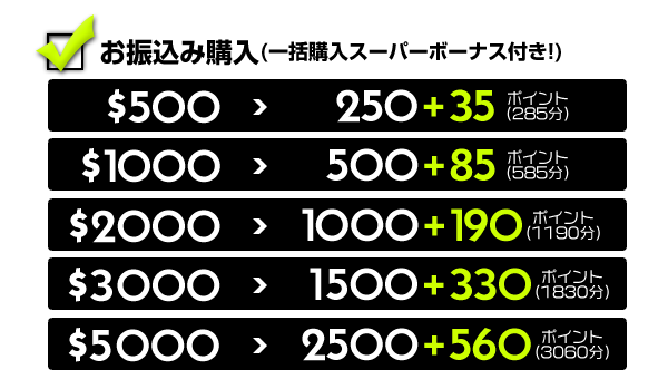 お振込み購入(一括購入スーパーボーナス付き)